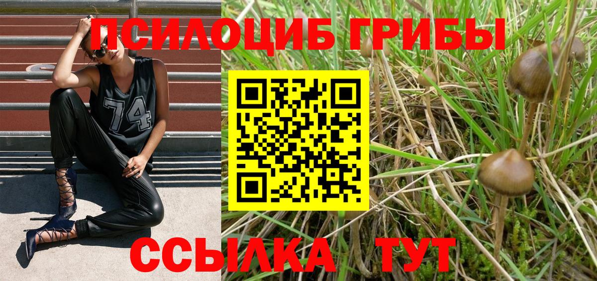 Галлюциногенные грибы мухоморы Губкинский