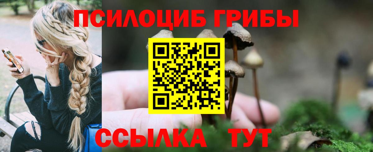 Губкинский  Псилоцибиновые грибы MAGIC MUSHROOMS  Вход с VPN 